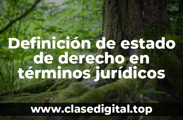 Definición de estado de derecho en términos jurídicos