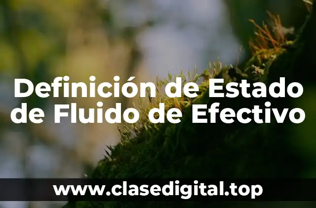 Definición de Estado de Fluido de Efectivo