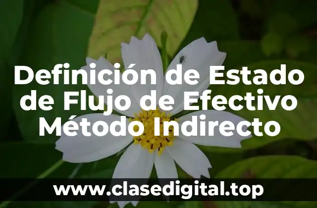 Definición de Estado de Flujo de Efectivo Método Indirecto