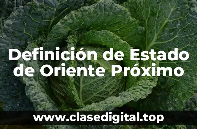 Definición de Estado de Oriente Próximo