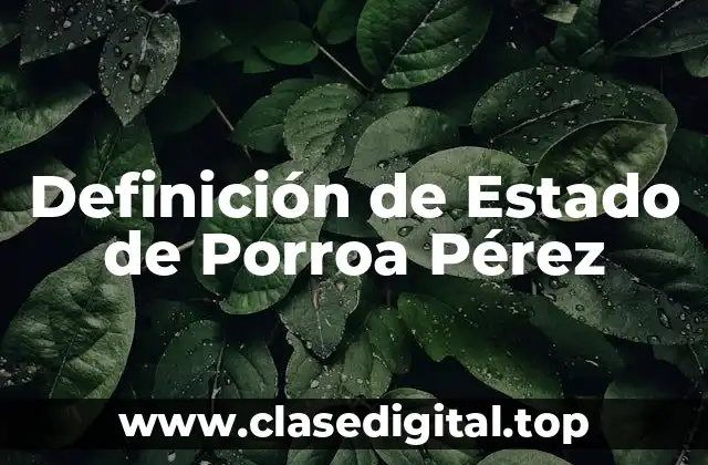 Definición de Estado de Porroa Pérez