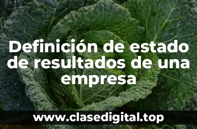 Definición de estado de resultados de una empresa