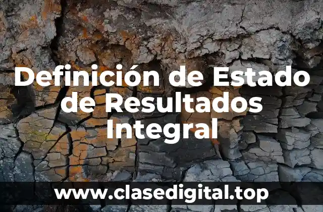 Definición de Estado de Resultados Integral