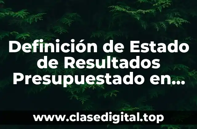 Definición de Estado de Resultados Presupuestado en un Proyecto