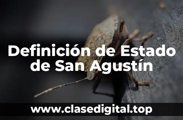 Definición de Estado de San Agustín