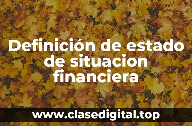 Definición de estado de situacion financiera