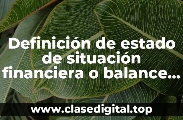 Definición de estado de situación financiera o balance general