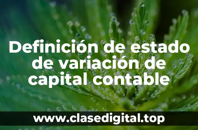 Definición de estado de variación de capital contable