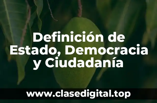 Definición de Estado, Democracia y Ciudadanía