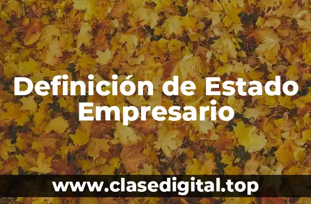 Definición Técnica de Estado Empresario