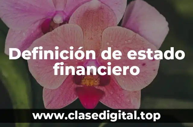 Definición de estado financiero