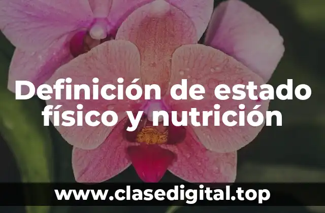 Definición de estado físico y nutrición