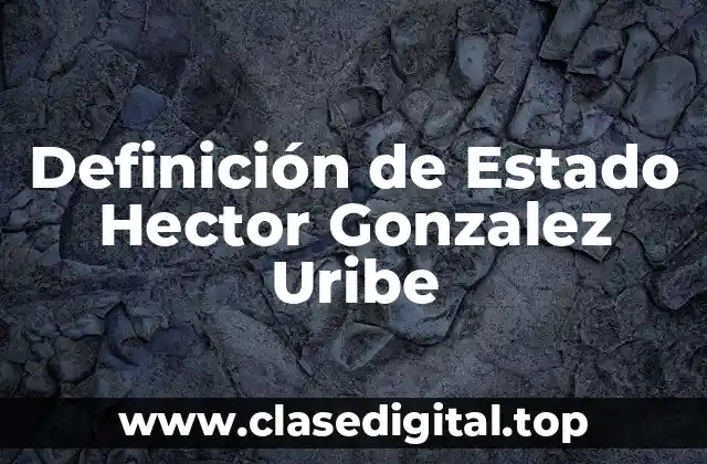Definición de Estado Hector Gonzalez Uribe