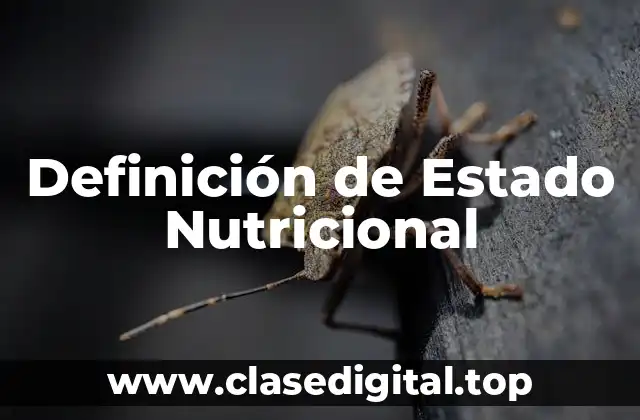 Definición de Estado Nutricional