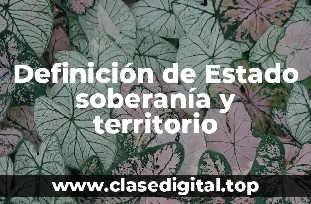 Definición de Estado soberanía y territorio