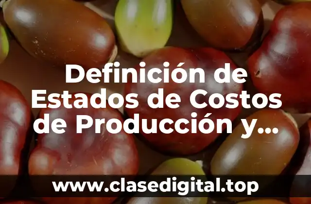 Definición de Estados de Costos de Producción y Ventas