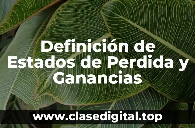 Definición de Estados de Perdida y Ganancias