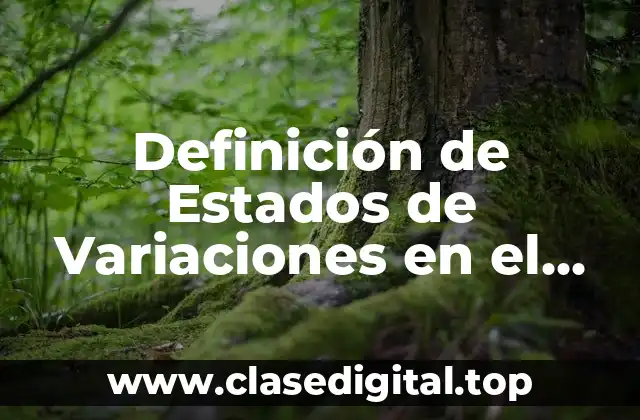 Definición de Estados de Variaciones en el Capital Contable