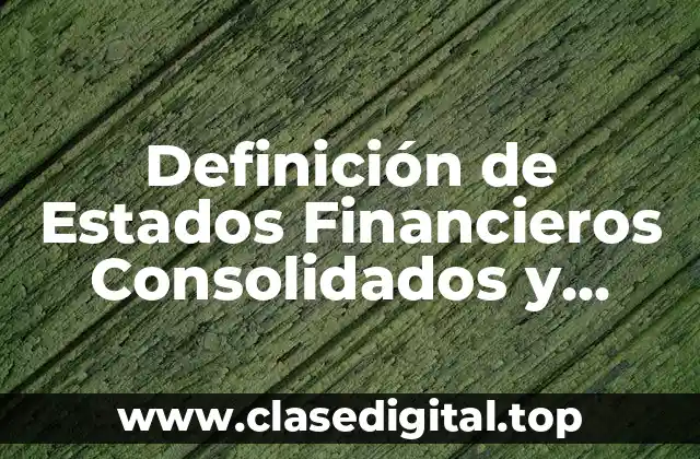 Definición de Estados Financieros Consolidados y Combinados