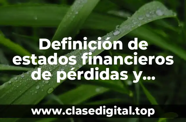 Definición de estados financieros de pérdidas y ganancias