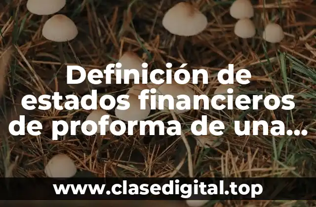 Definición de estados financieros de proforma de una empresa