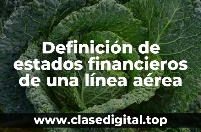 Definición de estados financieros de una línea aérea