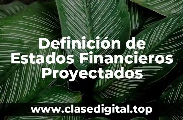 Definición de Estados Financieros Proyectados