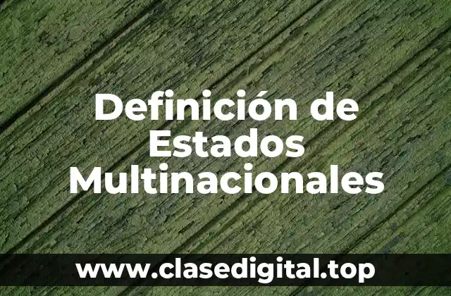 Definición de Estados Multinacionales
