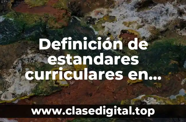 Definición de estandares curriculares en educación
