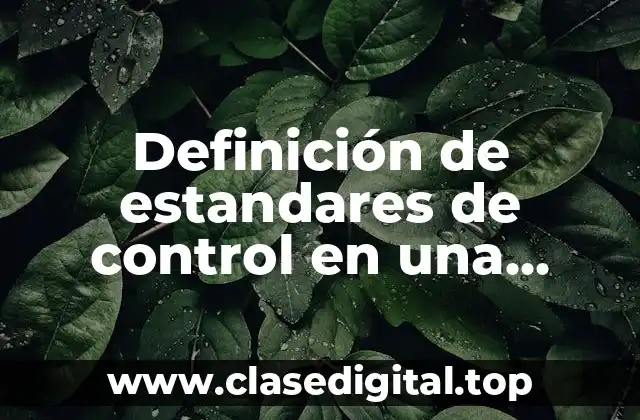 Definición de estandares de control en una empresa