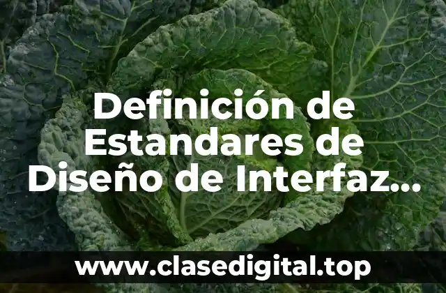 Definición de Estandares de Diseño de Interfaz de Usuario