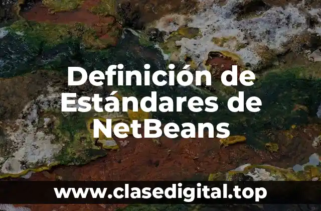 Definición de Estándares de NetBeans