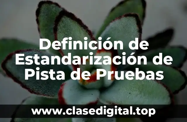 Definición de Estandarización de Pista de Pruebas