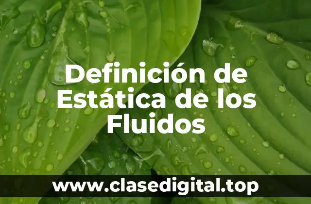 Definición de Estática de los Fluidos