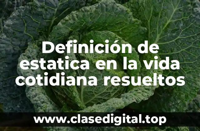 Definición de estatica en la vida cotidiana resueltos