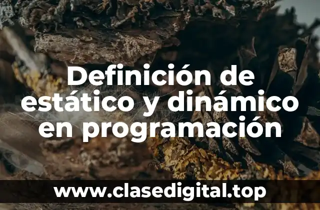 Definición de estático y dinámico en programación