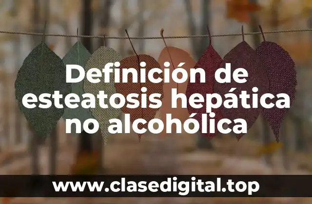 Definición de esteatosis hepática no alcohólica