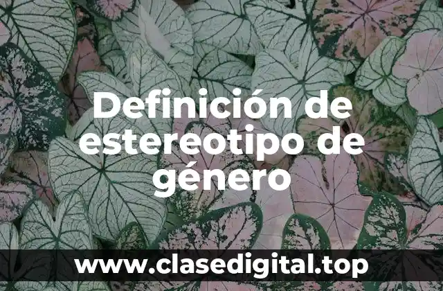 Definición técnica de estereotipo de género
