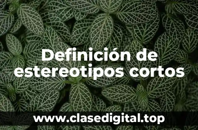 Definición de estereotipos cortos