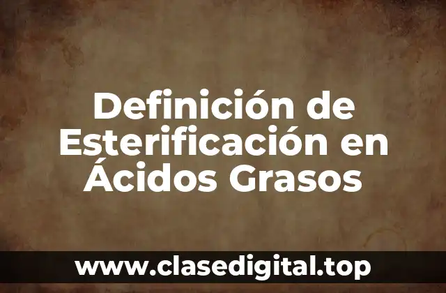 Definición de Esterificación en Ácidos Grasos