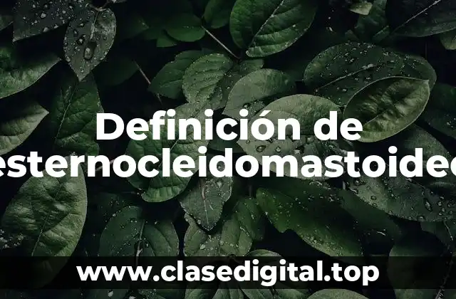 Definición de esternocleidomastoideo