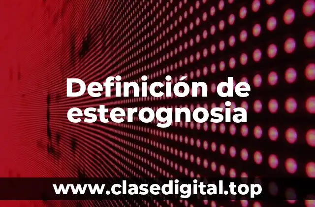 Definición de esterognosia