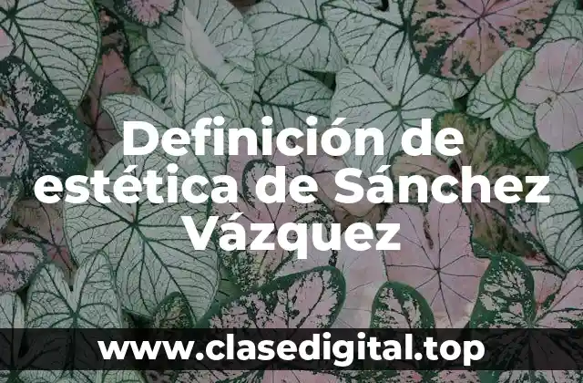 Definición de estética de Sánchez Vázquez
