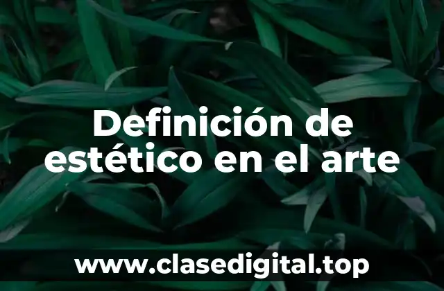 Definición de estético en el arte