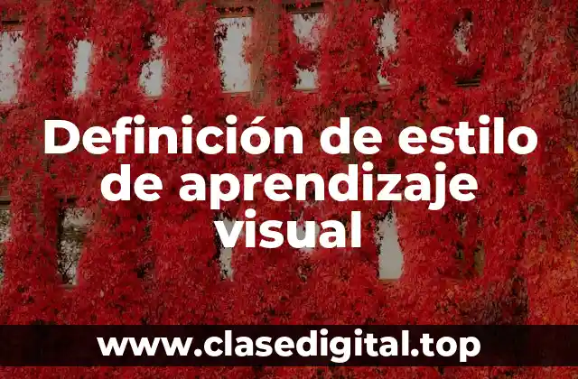 Definición de estilo de aprendizaje visual