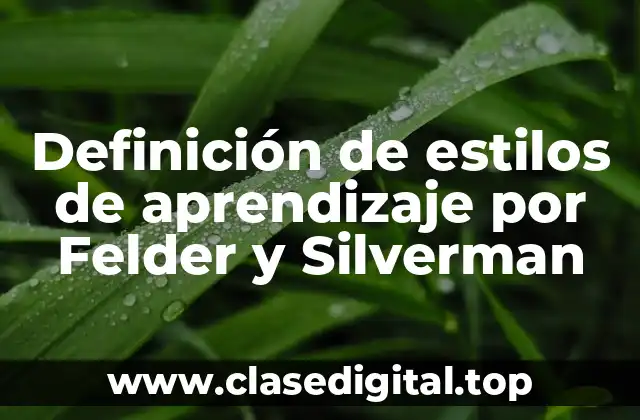 Definición de estilos de aprendizaje por Felder y Silverman