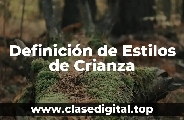 Definición de Estilos de Crianza