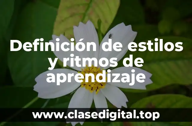 Definición de estilos y ritmos de aprendizaje