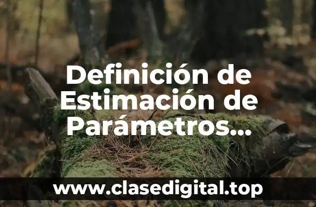 Definición de Estimación de Parámetros Estadísticos
