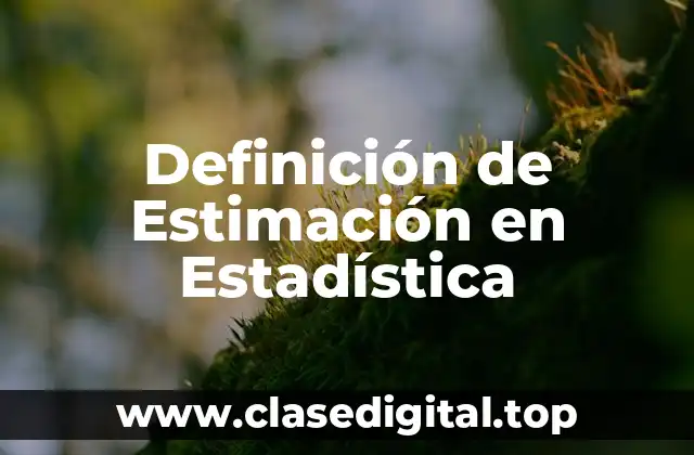 Definición de Estimación en Estadística